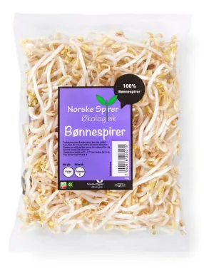 Bønnespirer