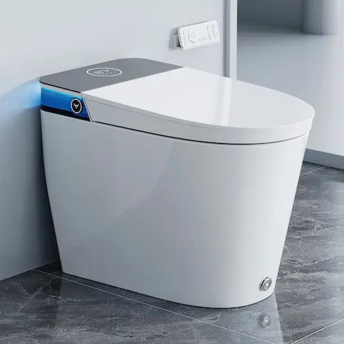 ADA Height Elongated Smart Bidet Toilet in White with Water Tank, Pump, Map Flush 1000g, Auto Open/Close, Deodorization