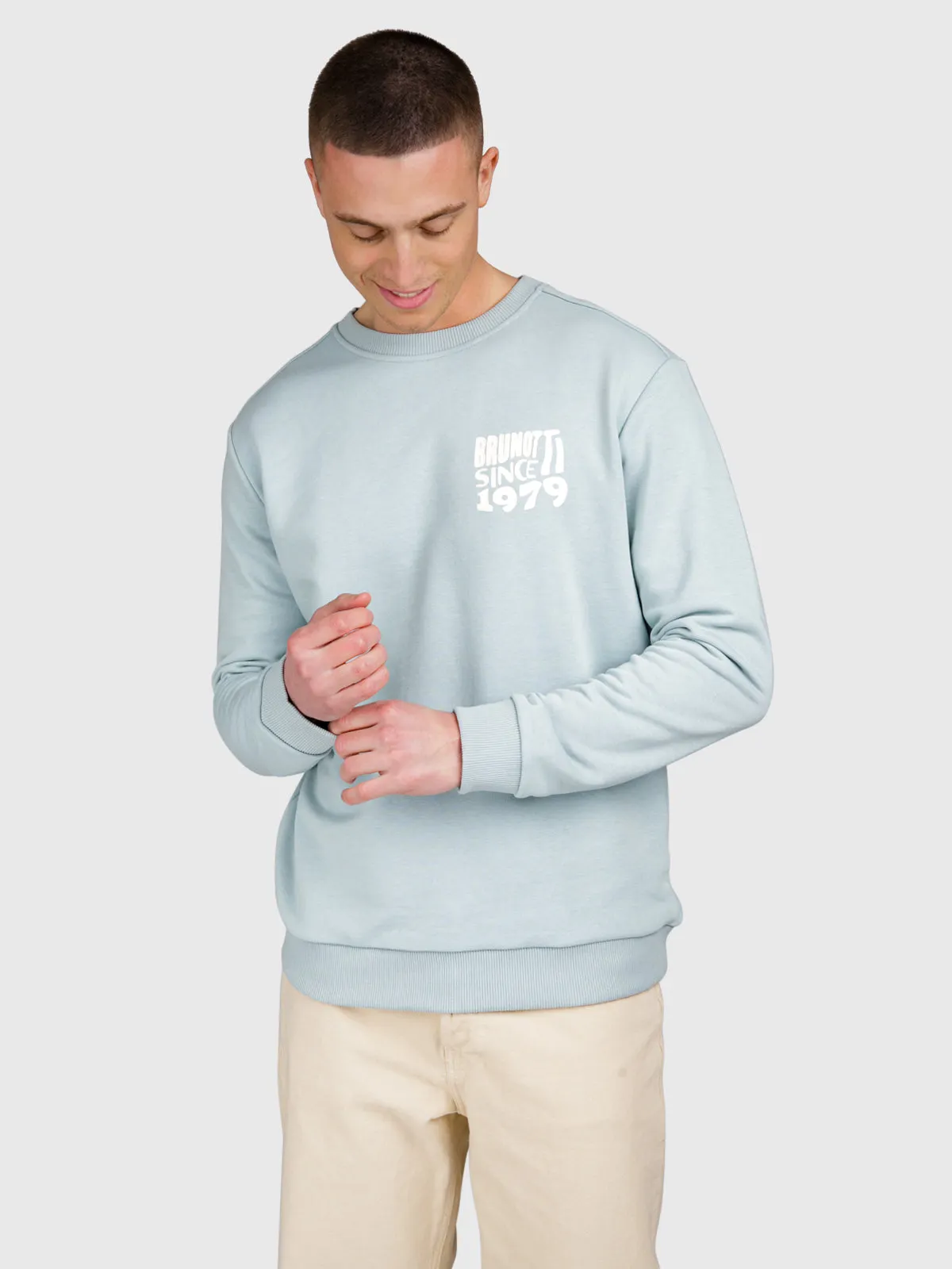 Vito Men Sweater | Mist