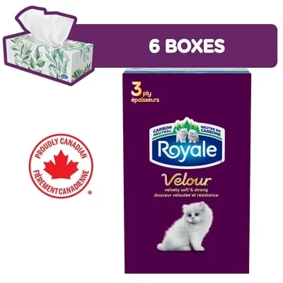 Velour 3 Ply Facial Tissue, 6 Tissue Boxes, 72 Tissues per box