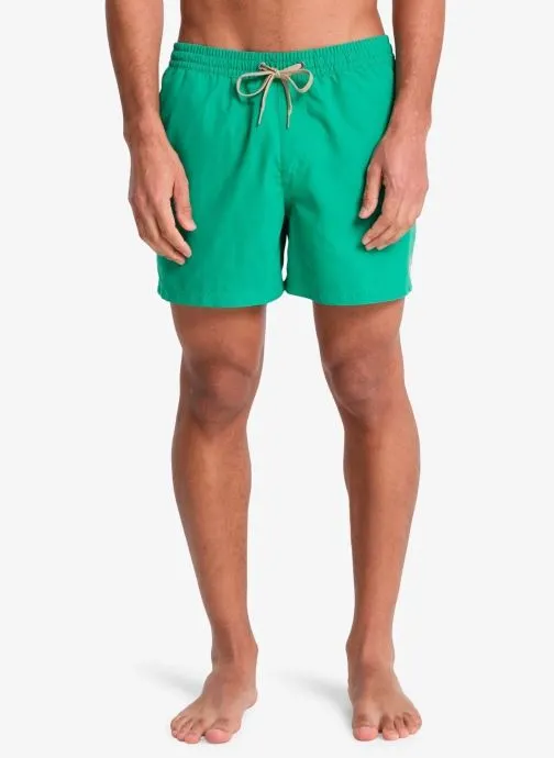 Zwemshorts Everyday Solid Volley 15 EQYJV04120 heren groen