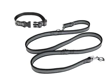 Correa para perro con collar