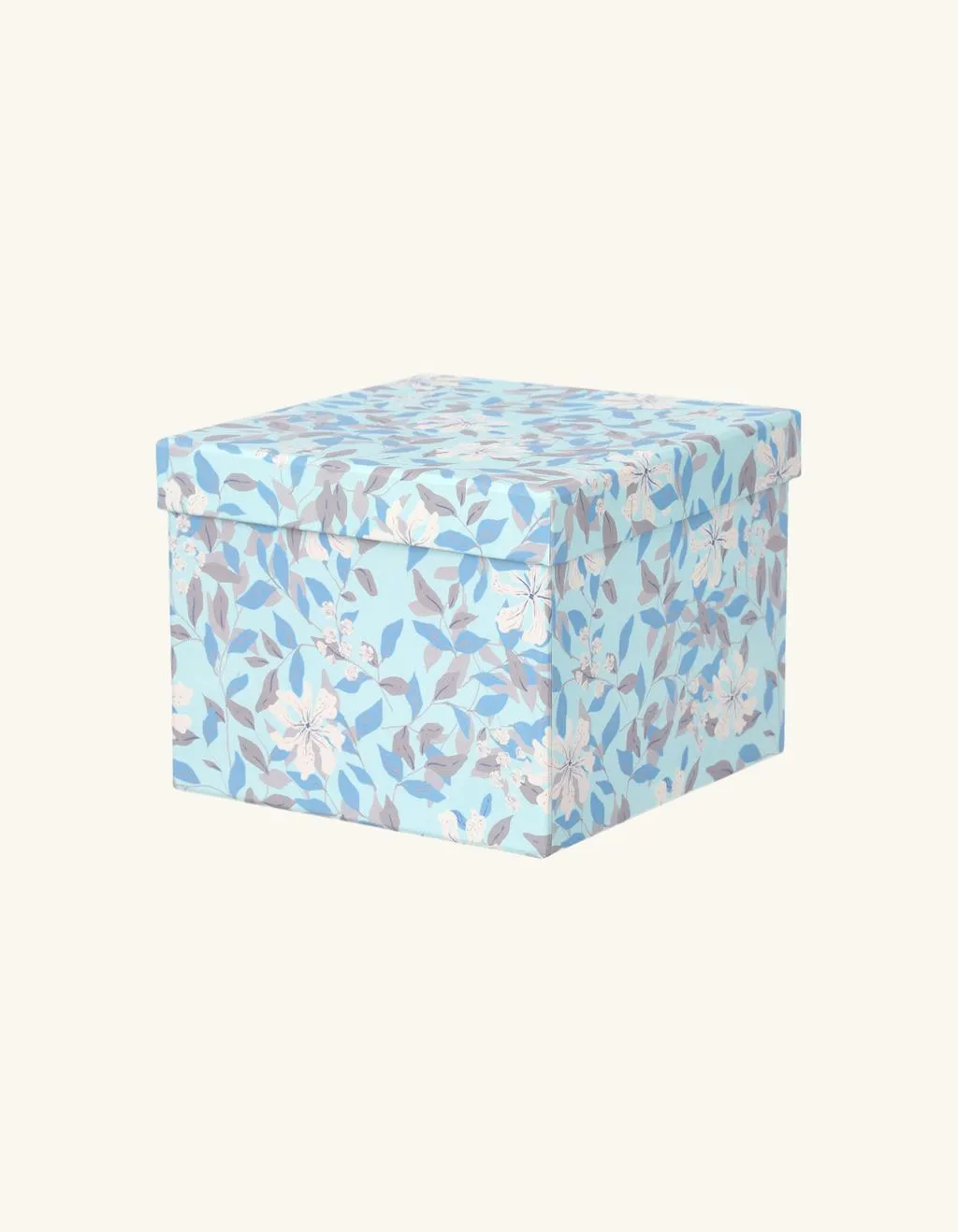 Box mit Deckel