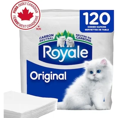 Original 1 Ply Paper Napkins, 120 Napkins per Pack