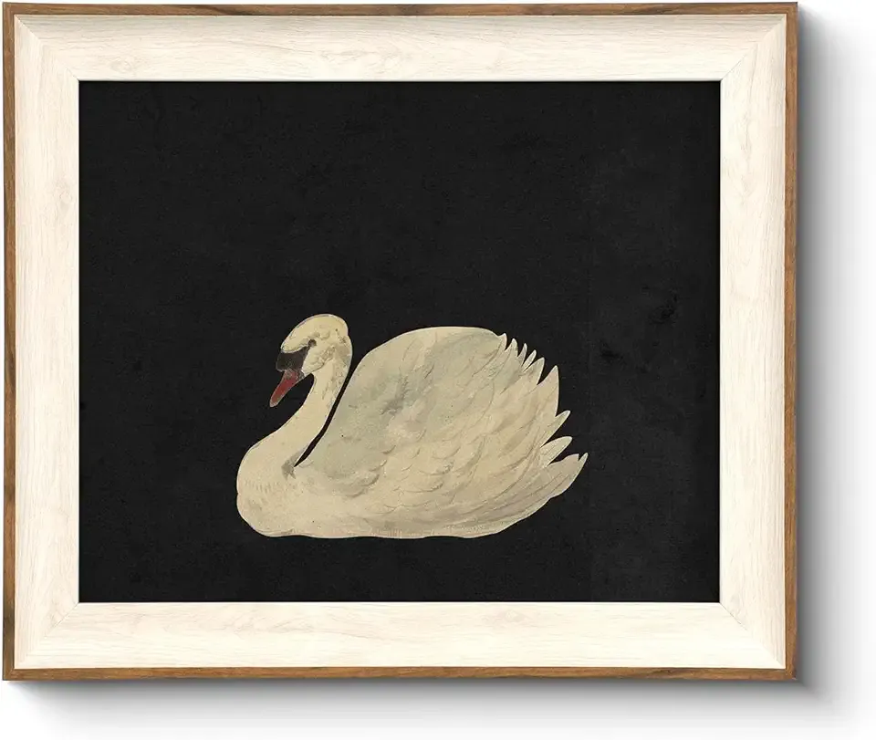 VIYYIEA Framed Wall Art for Living Room, Swan Art Canvas Prints, Vintage Home Decor, Animals Painting Picture, Bathroom Wall Decor Gifts for Friends or Family - 12L x 10W