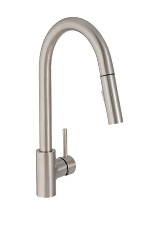 Grifo de cocina monomando caño alto DELINIA Lily extraíble 2 funciones níquel satinado