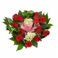 Bloom Haus Beautiful Rose Red