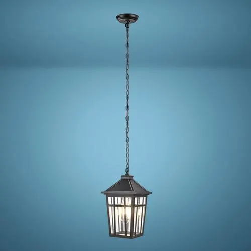 Patriot Lighting® Thom Black Outdoor Pendant