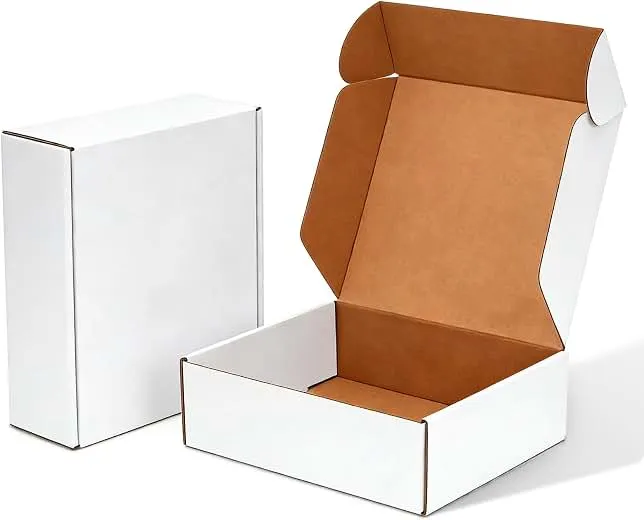 Ovlospa 20 Pack 12x9x3 Inch White Shipping Boxes, Corrugated Cardboard Mailer Boxes for Small Business Packaging, Easy-to-Fold Design for Mailing, Gift Wrapping, and Everyday Organizing