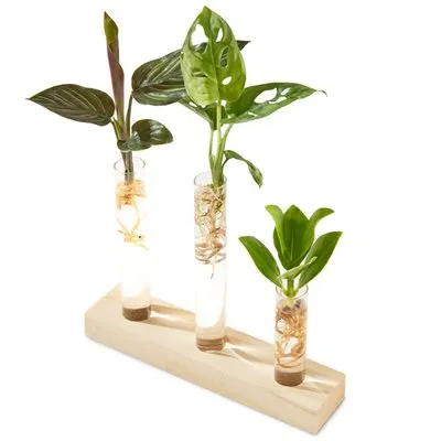 Brievenbus | Plantenstekjes