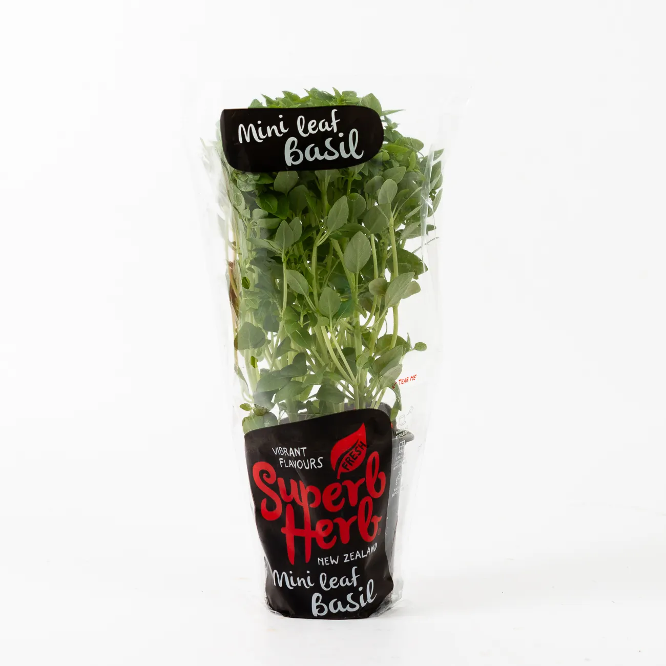 superb herb basil mini leaf small pot plant