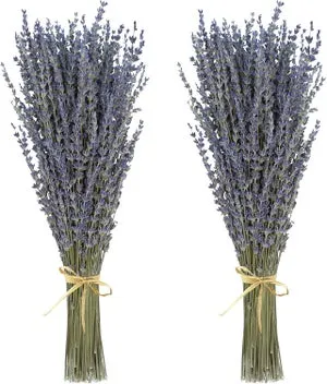 Ramos de flores de lavanda secas (más de 200 tallos, de 38 a 43 cm de largo) para decoración de interiores, manualidades creativas, regalos.