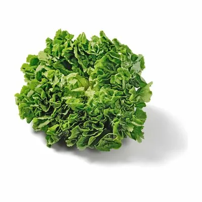 Da komm ich her! Endiviensalat