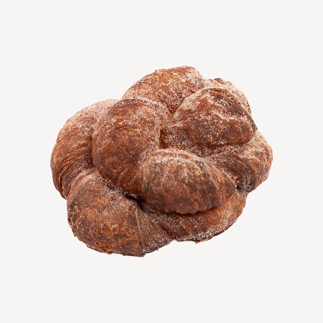 knead cinnamon scroll