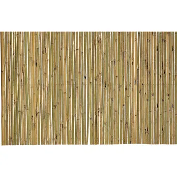 Arella Sea in Bamboo h250x300 cm
