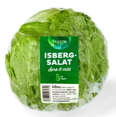 Isbergsalat