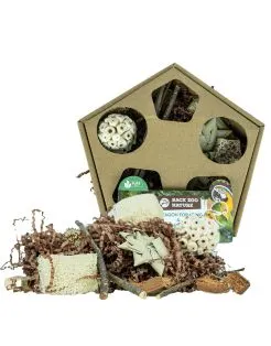 Back Zoo Nature Pentagon Foraging & Play Box - Speelgoed - 20x20x7 cm