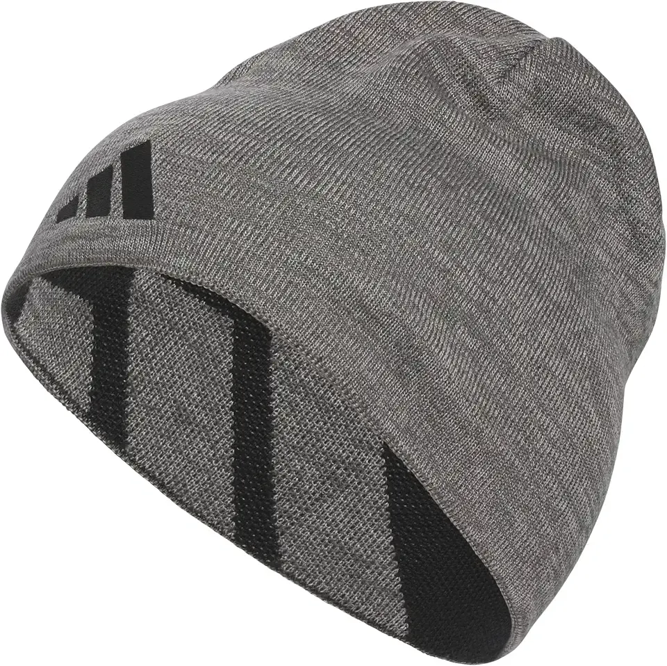Men's Reversible Skully Beanie