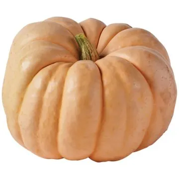 H-E-B Texas Roots Pink Pumpkin, Each