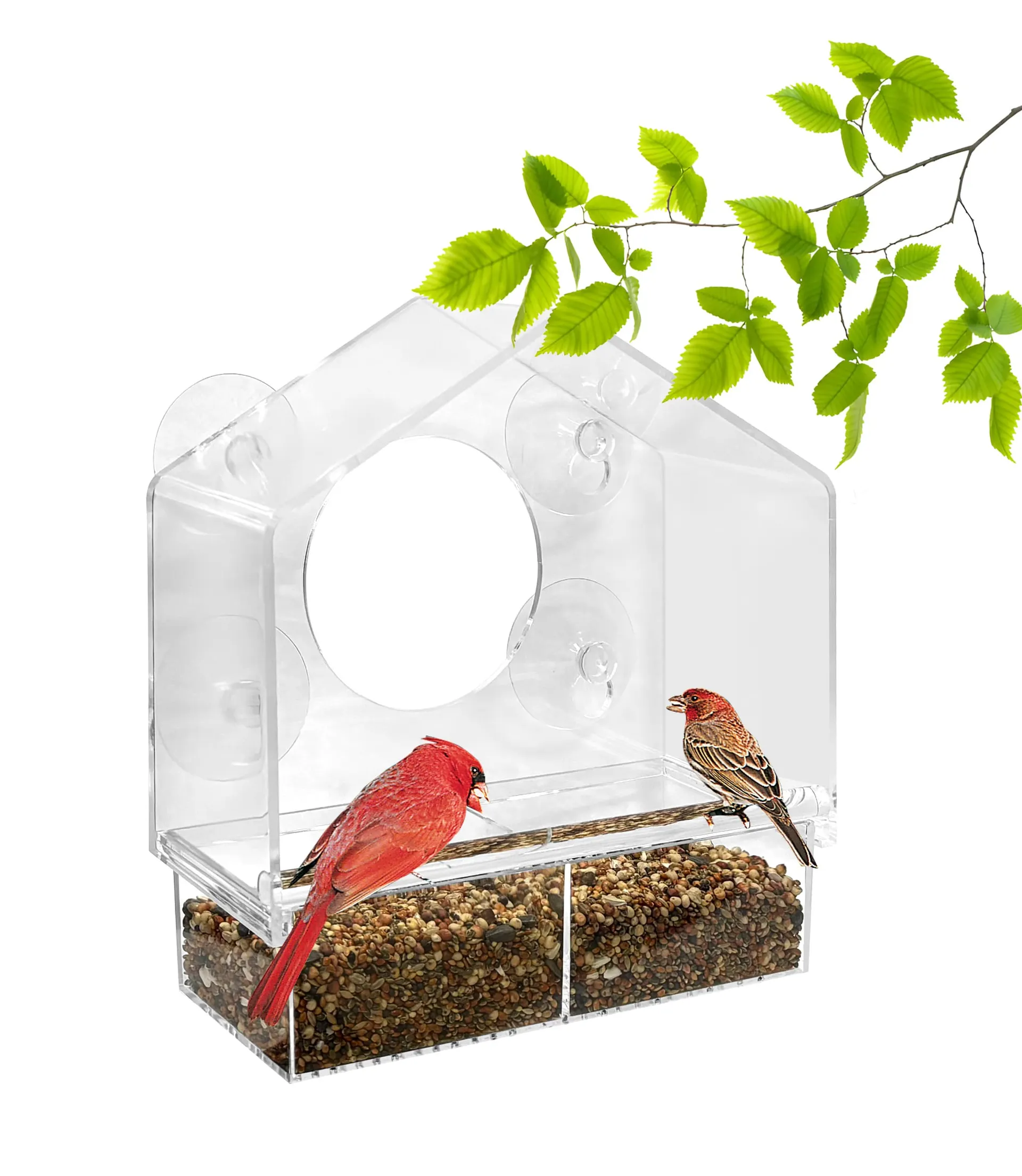 Birdfeeder Plastic Window-mount (suction cup) Window Bird feeder - 0.625-lb