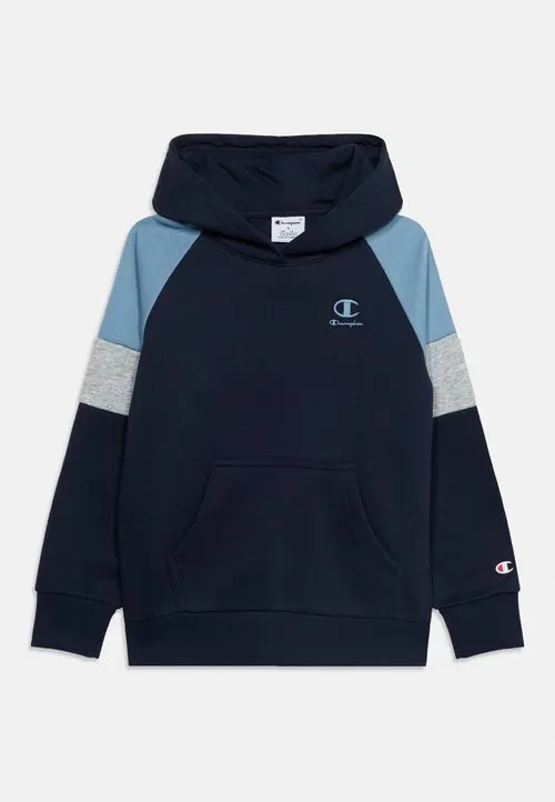 SPORTWEAR HOODIE UNISEX - Hoodie - blue