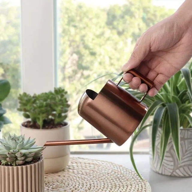 Annaffiatoio a lungo becco in acciaio inossidabile piccolo annaffiatoio adatto per piante succulente e fiori utilizzo interno ed esterno ml bronzo
