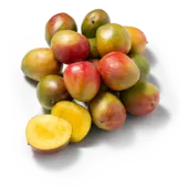 Eetrijpe Mango