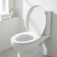 Tapa y asiento para inodoro ovalado de plástico blanco