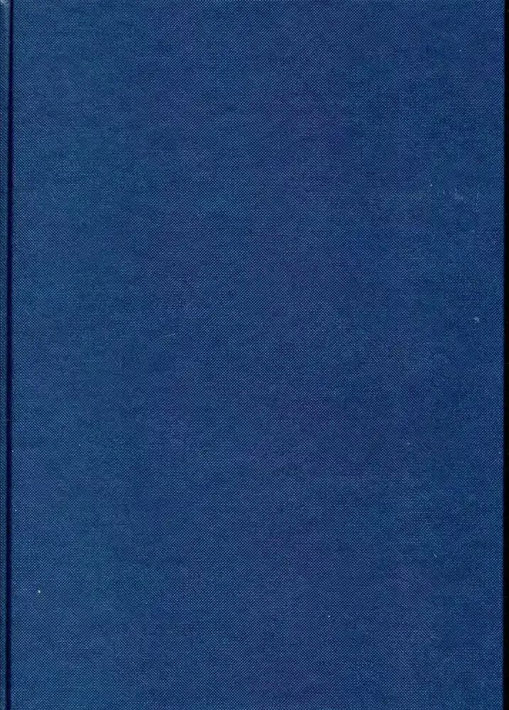 Dummie A4 blauw structuur (MIS869)