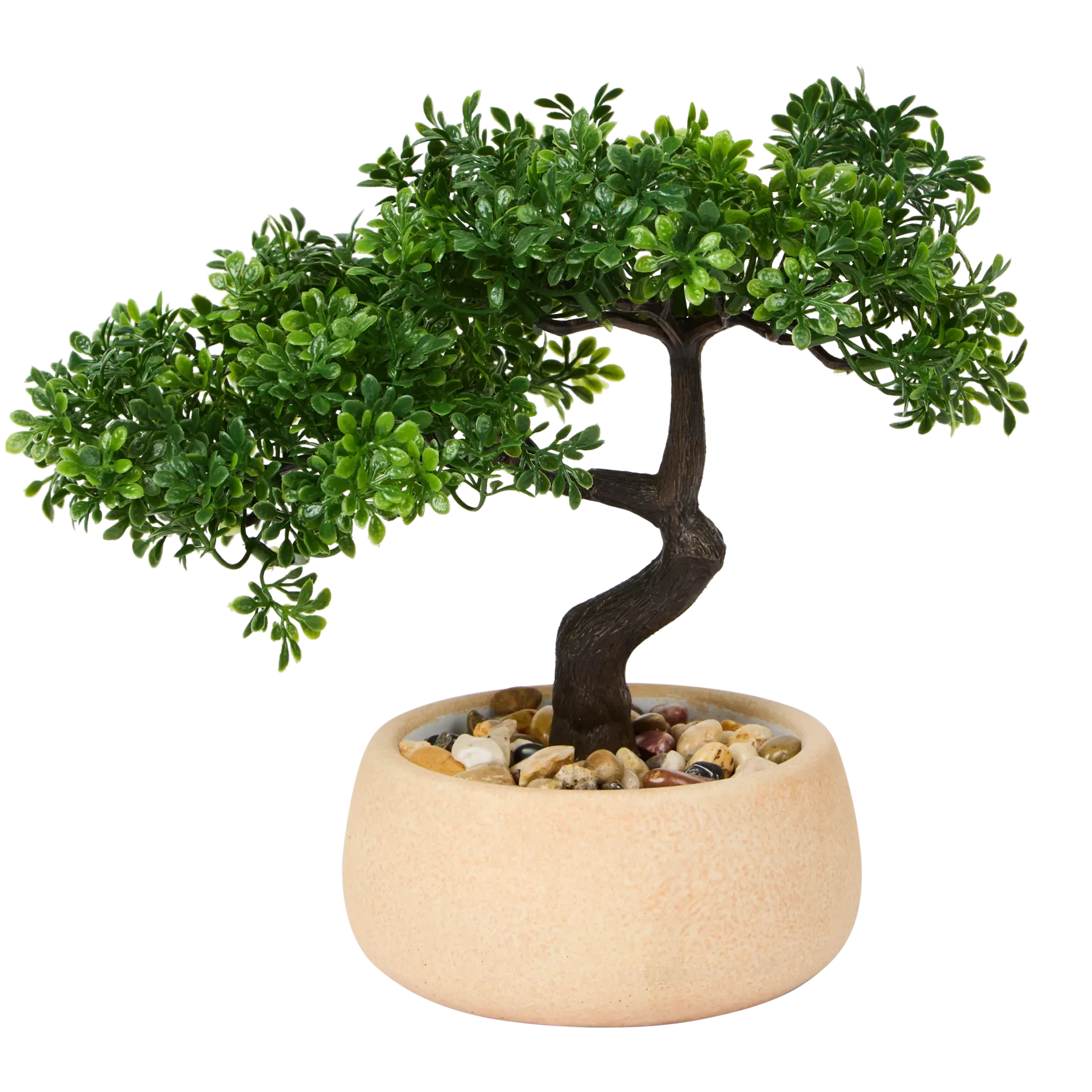 Bonsai in vaso Excellent Flowers