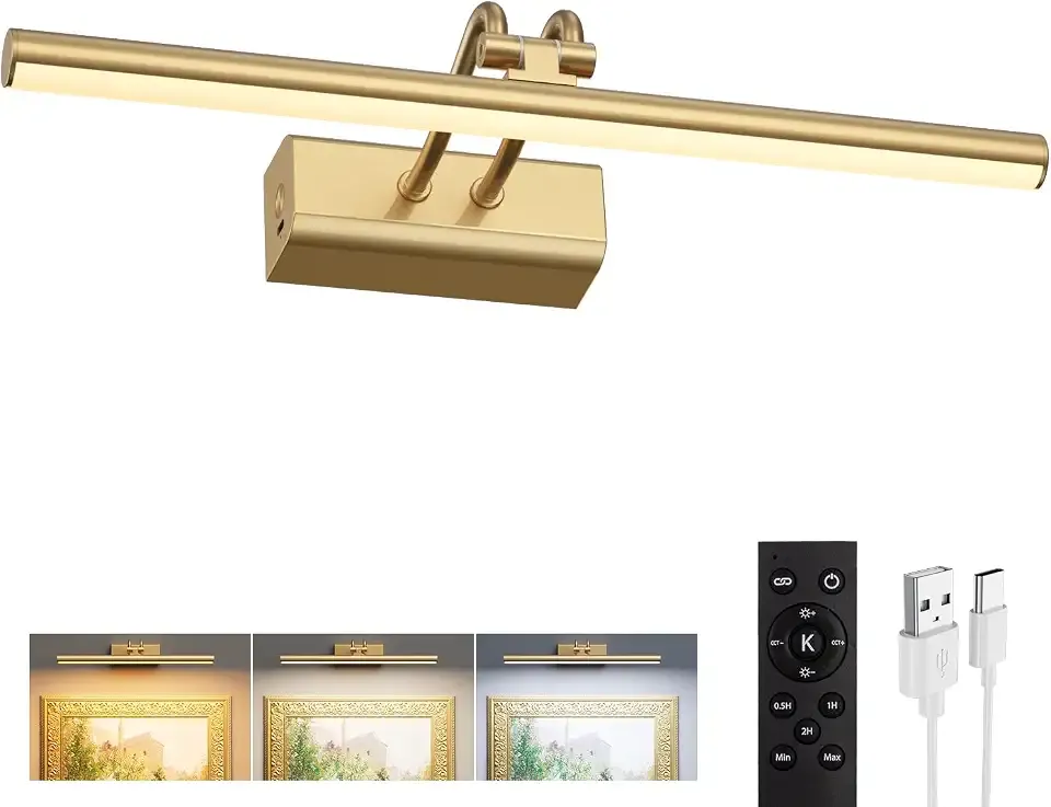 13.8'' Battery Operated Picture Light for Wall, Remote Control | 4000mAh Cordless,Gold Wall Light, Magnetic for Easy to Charge,Timers, Display for Gallery Living Room Bedroom