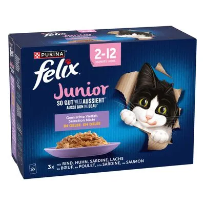 Sachets Felix Tendres Effilés pour chat : 3 x 12 x 85 g + 1 paquet offert !