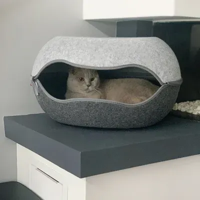 Canadian Cat Company Nid pour chat 2.0
