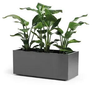 Fioriera KEBE in polipropilene antracite H 40 cm L 100 x P 40 cm