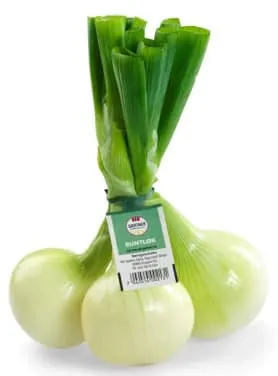 Løk