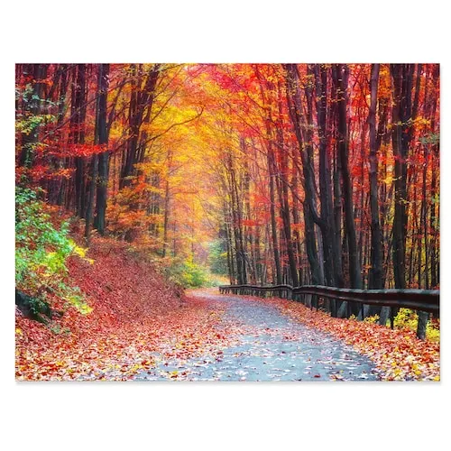 Road in Beautiful Autumn Forest - Modern Forest Canvas Art - 40x30