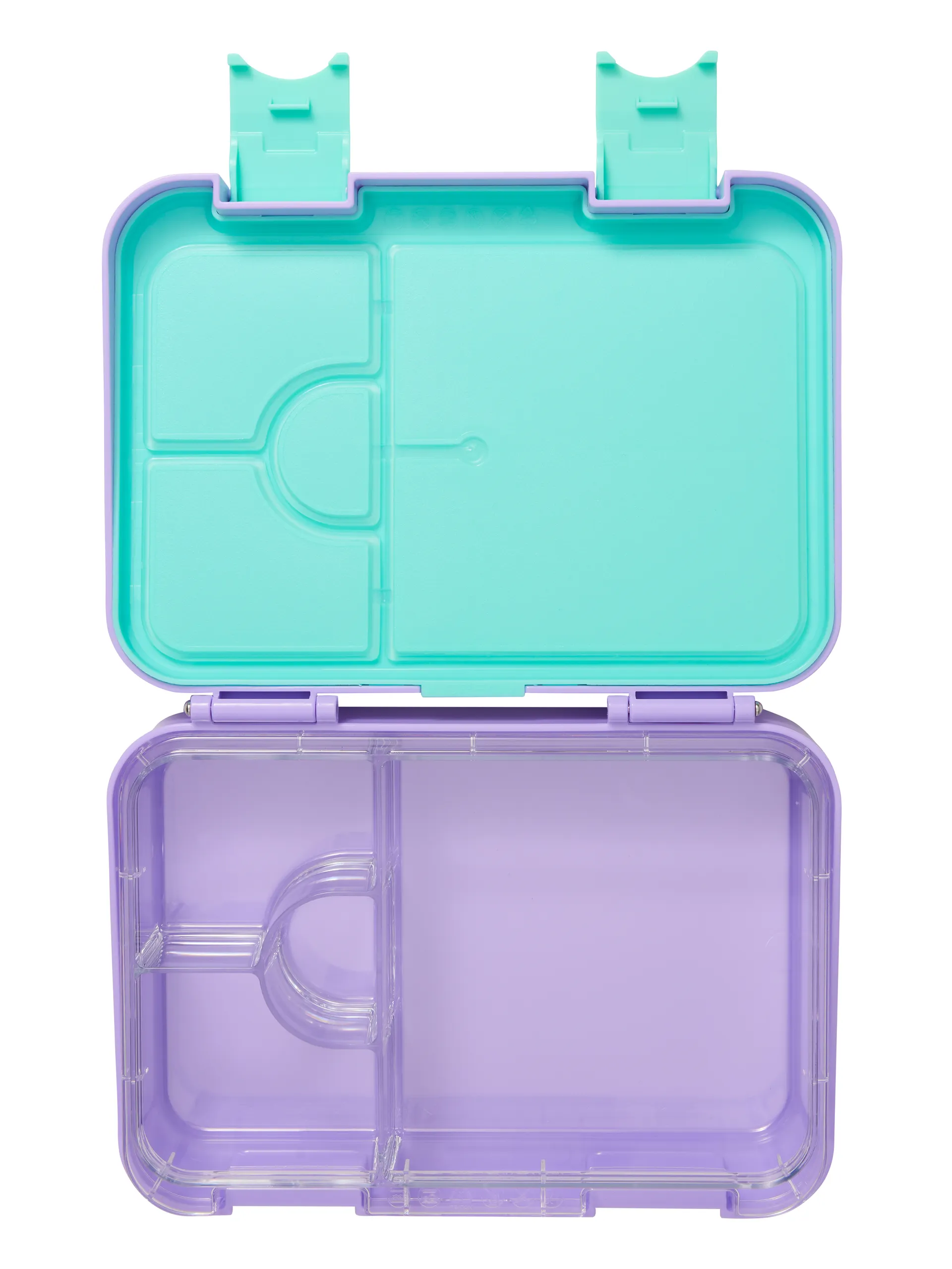 Adventurous Medium Bento Lunchbox