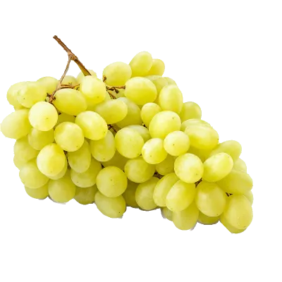 Seedless Green Grapes