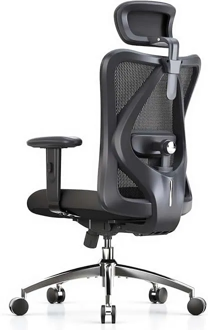 SIHOO M18 Ergonomic Office Chair, Mesh Back Desk Chair with Headrest | Adjustable Lumbar Support, Hold 330lbs Computer Chair with 2D Armrests & Wide Cushion, Tilt Lock, for Home Office - Black SIHOO M18 Ergonomic Office Chair, Mesh Back Desk Chair…
