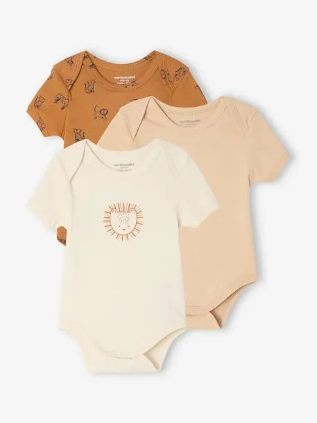 Lot de 3 bodies manches courtes Safari - camel
