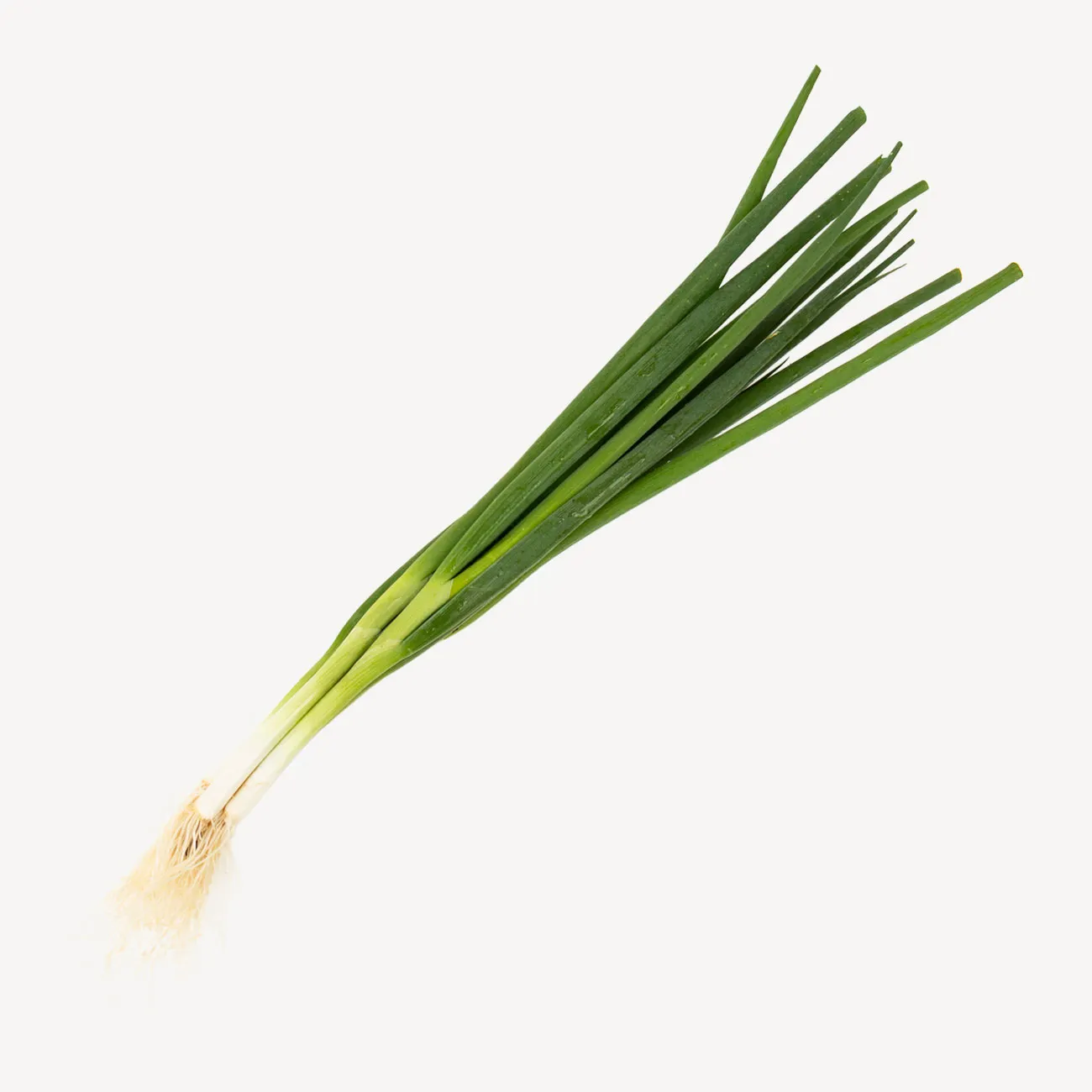 spring onion bunch