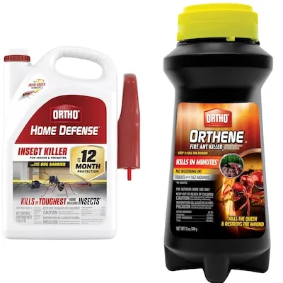 Wasp and Hornet Ready to use Insect killer 17 -oz