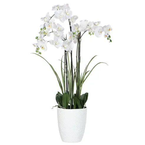 Kunstpflanze ORCHIDEE - creme - im Topf
