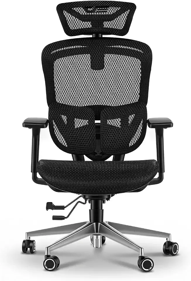 darkFlash Ergonomic Office Chair with Adjustable Flying Wing Lumbar Support, 4D Mesh Headrest, 3D Armrests, Sliding Seat, Full Mesh Seat, Aluminum Base, Heavy Duty Desk Chair for Home & Office