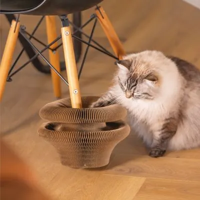 Jouet à griffer Siep beeztees