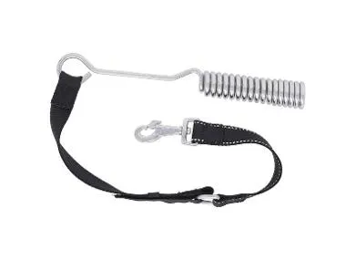 Correas para perro (Correa para correr con cinturón)