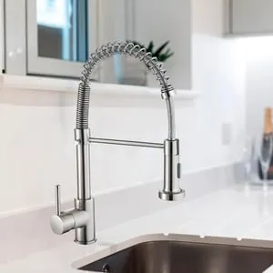 Grifo de cocina monomando extraíble Chef cromo