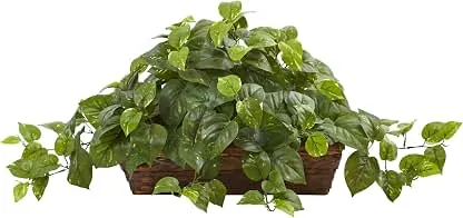 Nearly Natural 34in Artificial Pothos Ivy Plant with Ledge Basket Faux Trailing Cascading Greenery for Indoor Home Decor Nearly Natural 34in Artificial Pothos Ivy Plant with Ledge…