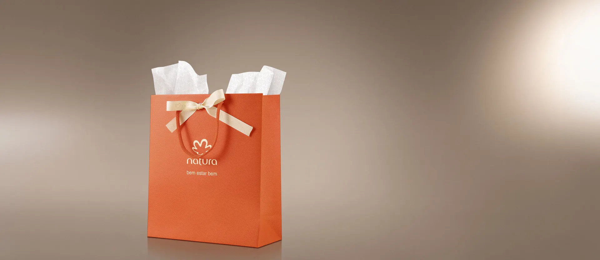 Sacola de Presente P com Laço