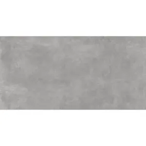 Suelo porcelánico Cronos efecto cemento gris 60x120 cm C1